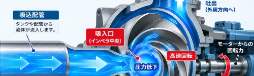 インペラ中央の吸入