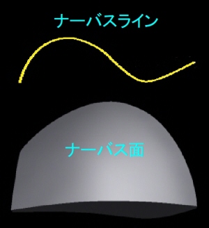 ナーバスメッシュ