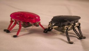 昆虫模倣型 歩行ロボット