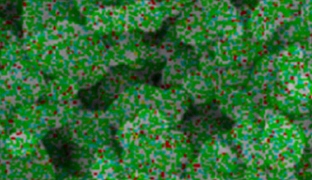 ナノセラミックス