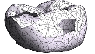 面が細かく分断