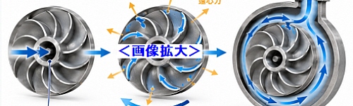 インペラ構造と機能説明